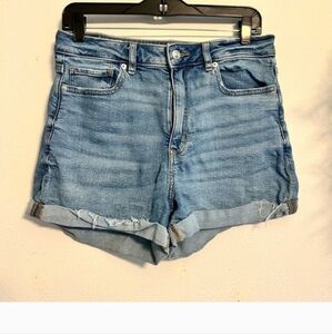 American Eagle Outfitters Blue Jean Mom Shorts Size 10